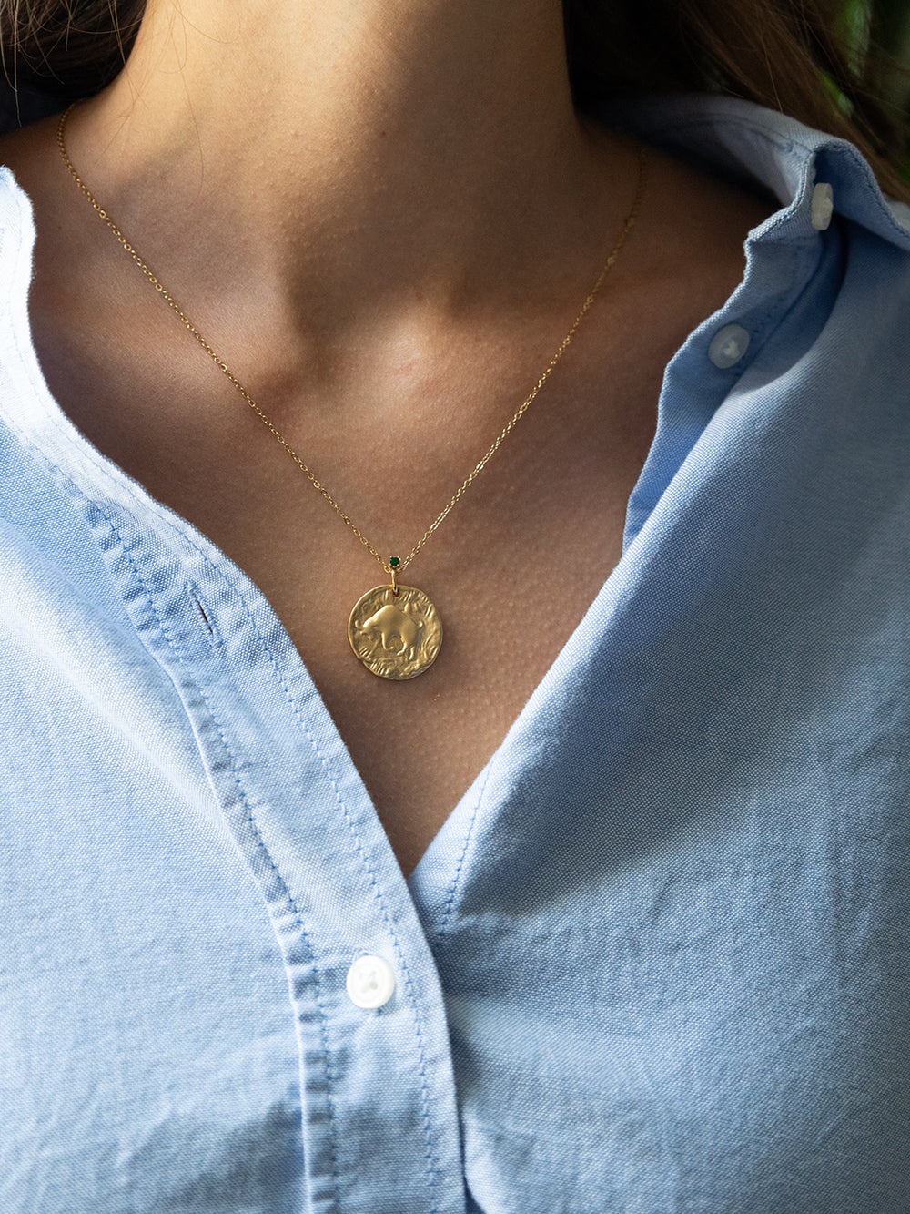 Collier Tauros