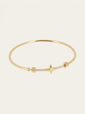 Erbajolo Bangle