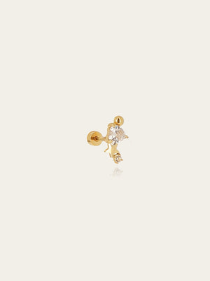 Piercing Anguilla