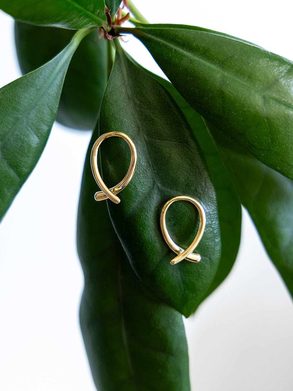 Coquette Earrings