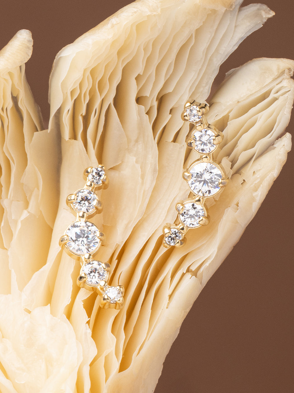 Eclisse Earrings