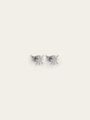 Boucles d'oreilles puces Isaac