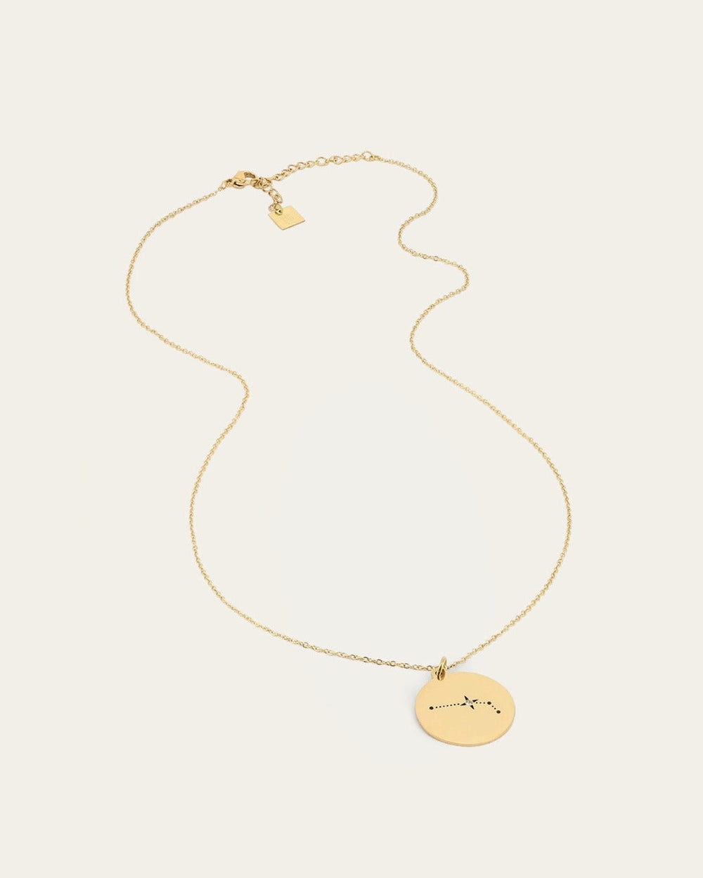 Aries Necklace (Gold-plated steel)