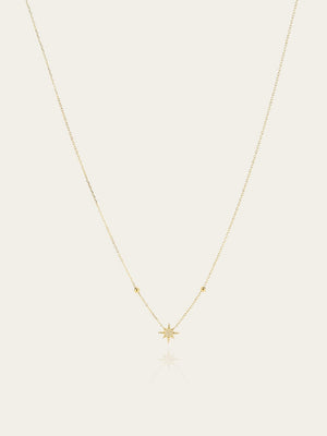 Newton Necklace