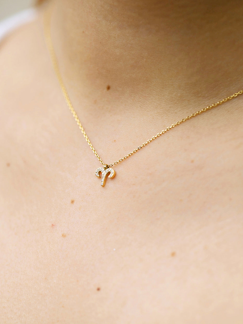 Aries Necklace
