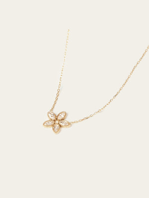 Collier Demo