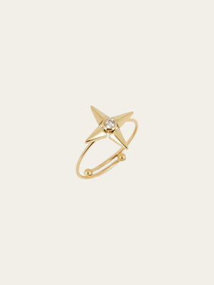 Leonardo Ring
