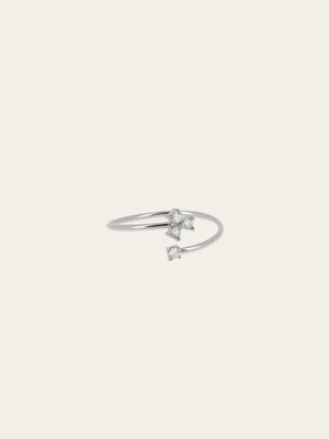Rosillo ring