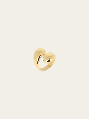 Abba Rings