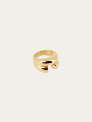 Dilys Ring