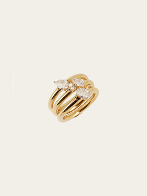 Sibari rings
