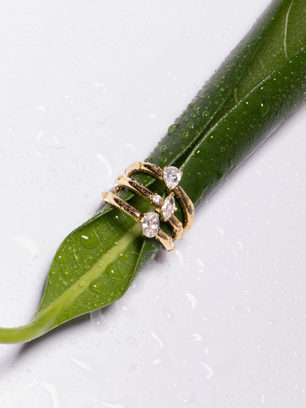 Sibari rings