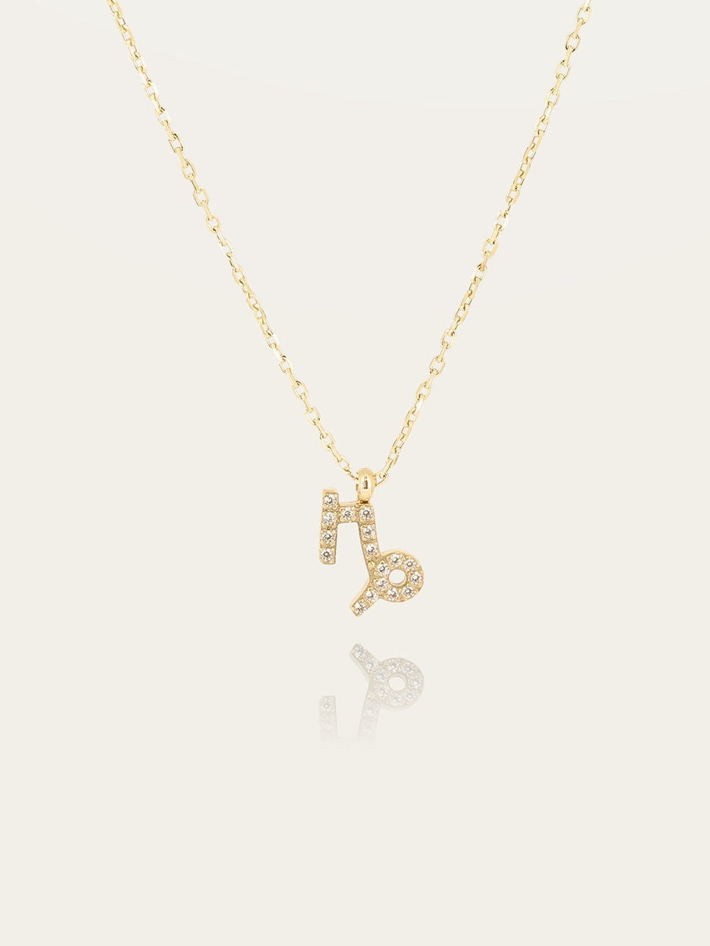 Capricorn Necklace