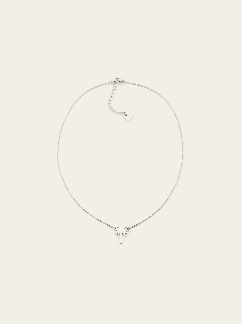 Collier Palm Spring