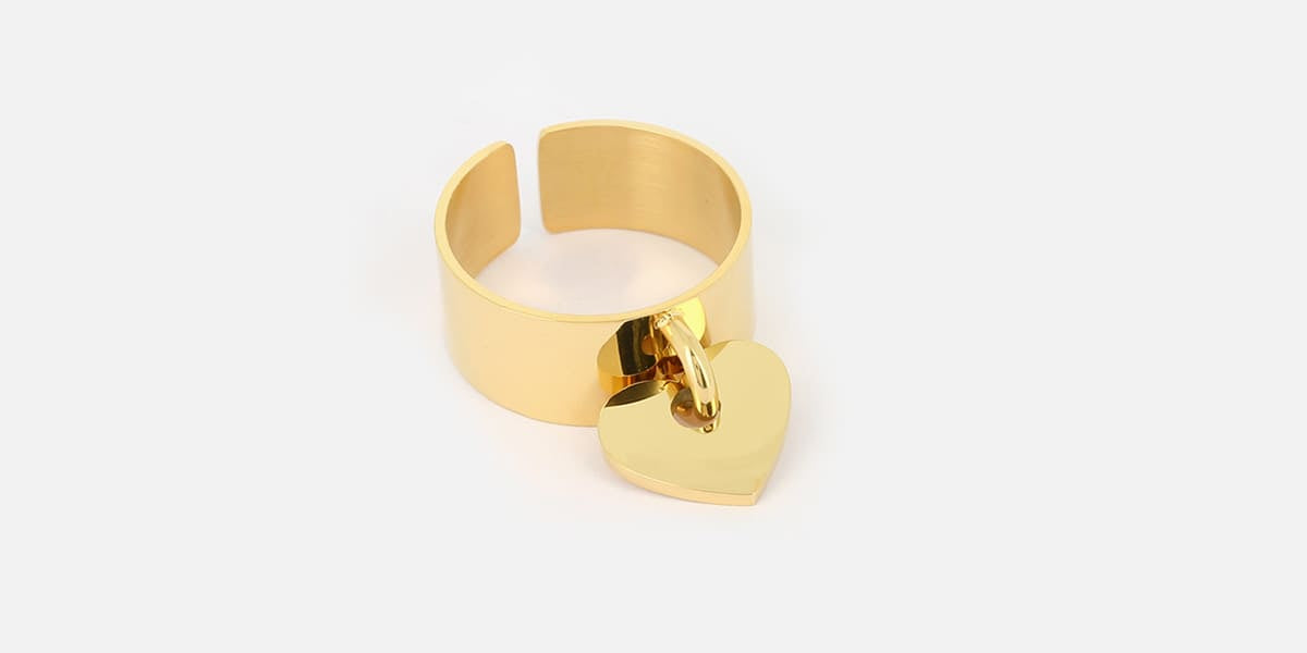 Bague Cuoro Acier doré – Zag Bijoux