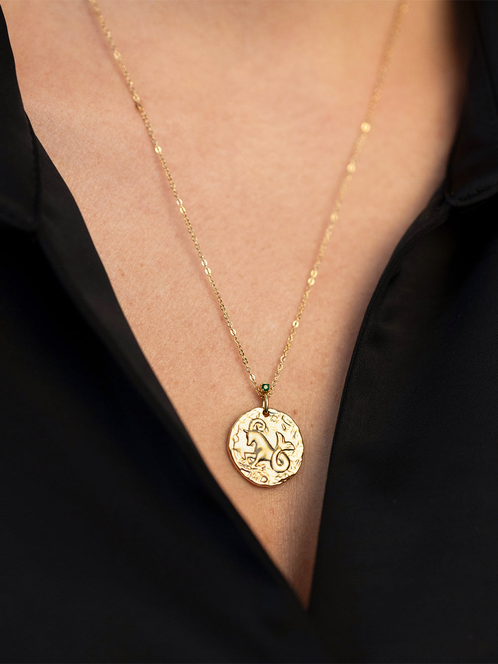 Collier Aigokereus 