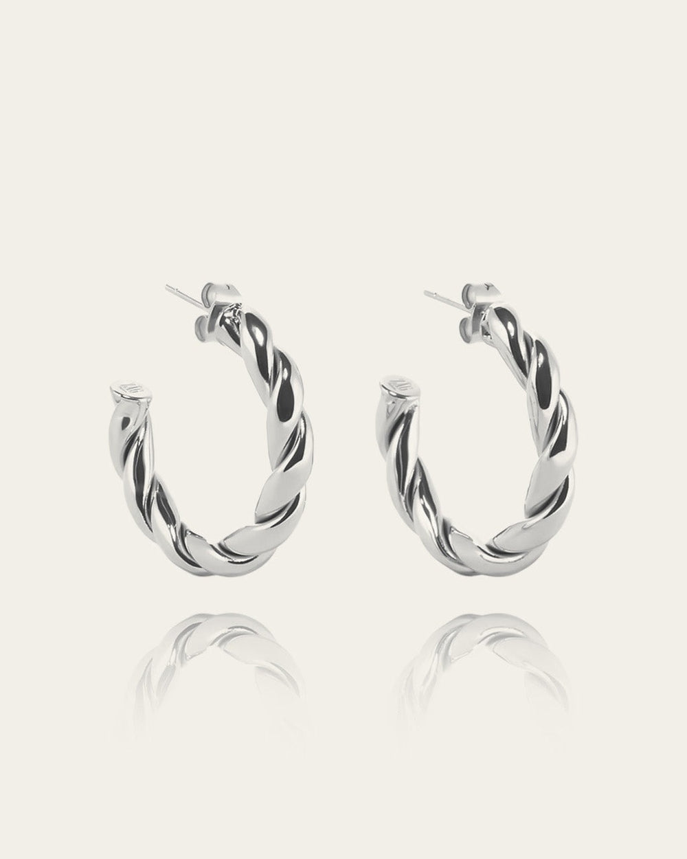 Torsade Earrings (Steel)