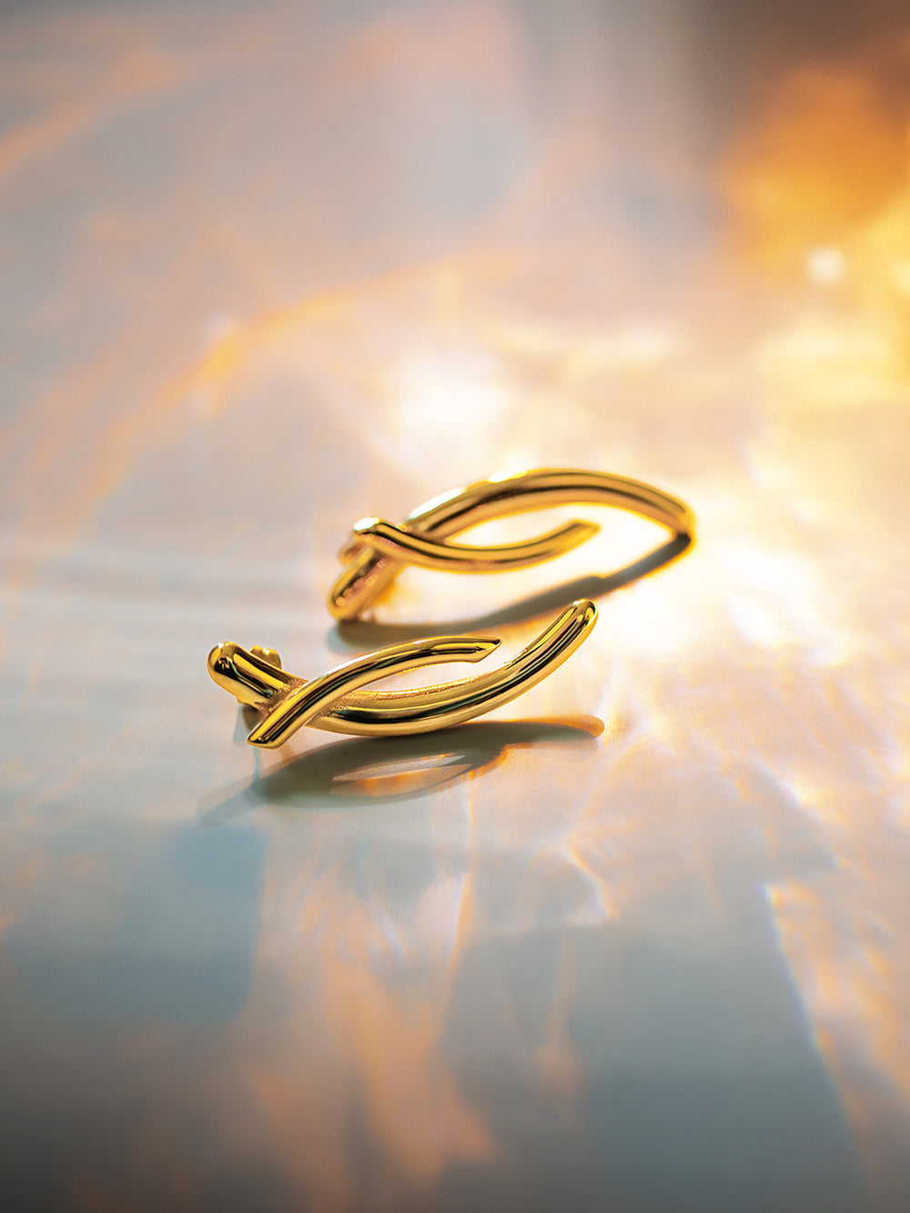 Apion Earrings 