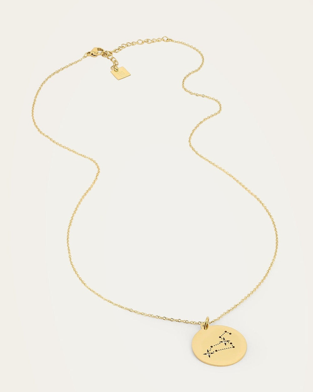 Leo Necklace (Gold-plated steel)