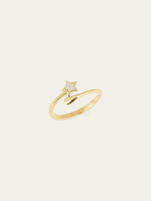 Ring Polaris 