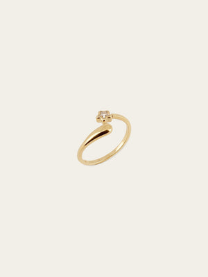 Arieli Ring 