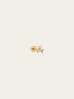 Piercing Madagascar 